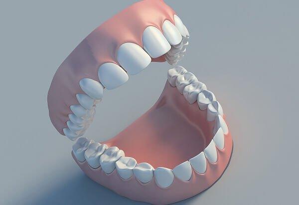 Người trưởng thành có bao nhiêu cái răng?